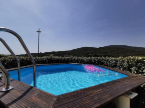 Magnifique maison individuel avec piscine hors-sol